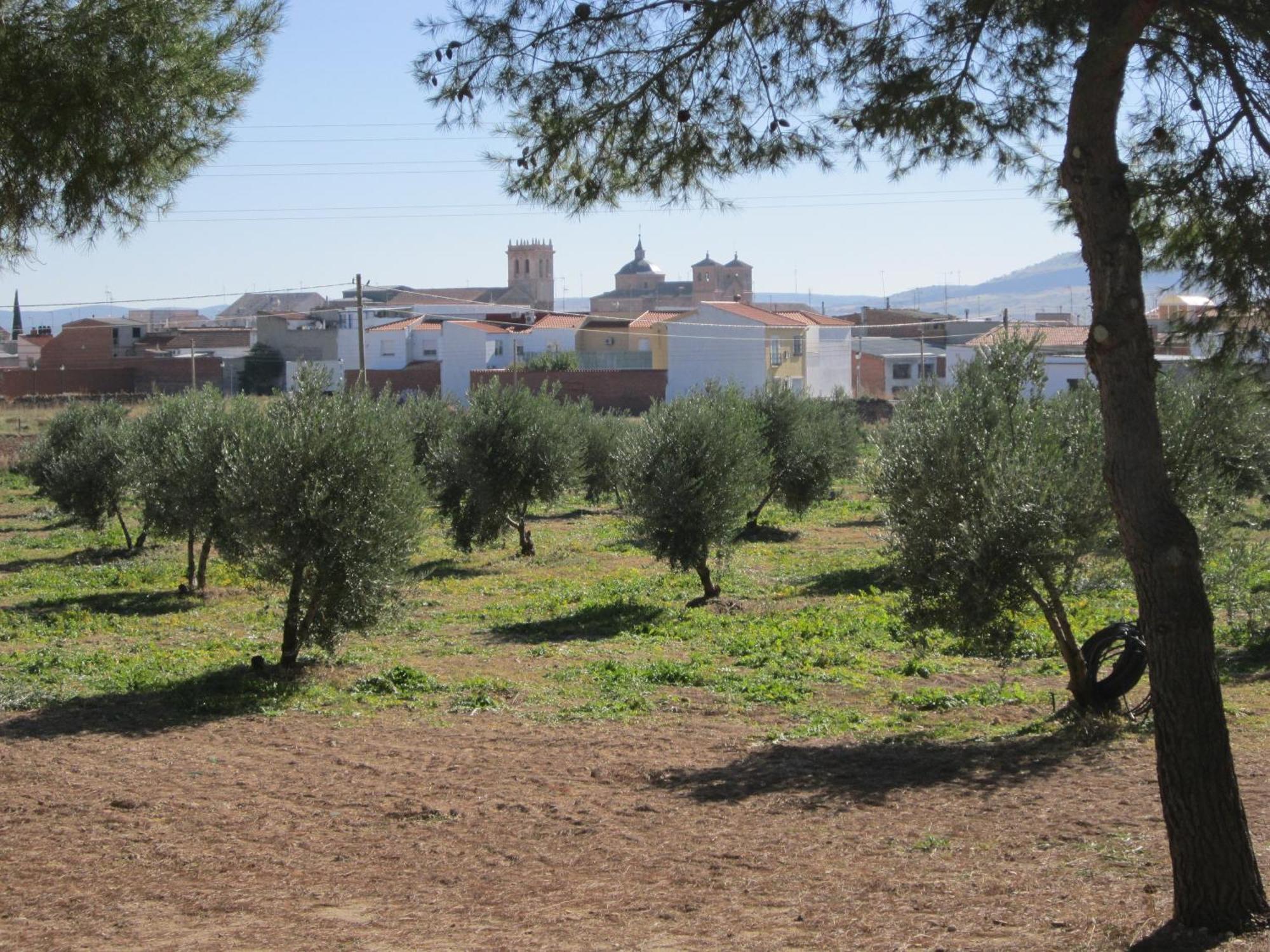 Apartamentos Rurales Las Caleras 알마그로 외부 사진