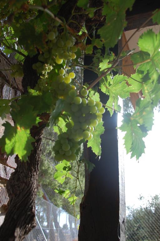 Apartamentos Rurales Las Caleras 알마그로 외부 사진